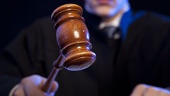 Image source: Burmakin Andrey –