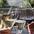 SA's wine industry gains momentum with local and international demand
