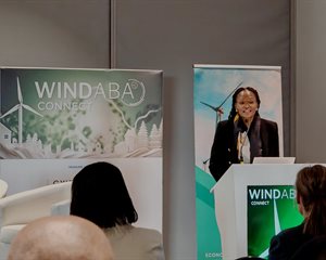 Dzunani Makgopa, head of finance and corporate services at IPPO, at the 2024 Windaba conference.
