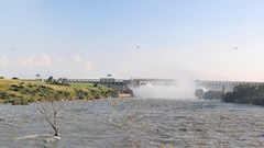 , , via Wikimedia Commons