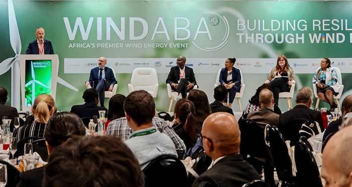 #Windaba2024: Ramaphosa&#x2019;s climate commission head confirms renewables push
