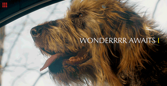 #OrchidsandOnions: Mazda places dogs at the wheel in its latest ad