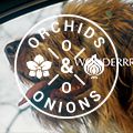 #OrchidsandOnions: Mazda places dogs at the wheel in its latest ad