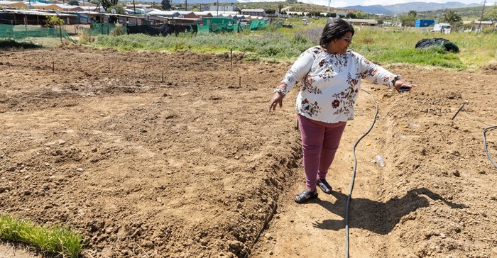 Janelle Simons is one of ten small-scale farmers who grows vegetables on a piece of municipal land in Oranjeville, Citrusdal. For the past two winters, they have not been able to grow and sell their crop because their gardens were flooded. Photos: Ashraf Hendricks