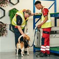 New Swissport Pet Lounge opens at OR Tambo Intl