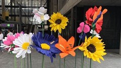 Pharma Dynamics focuses on mental health with flower installation