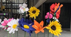 Pharma Dynamics focuses on mental health with flower installation