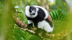 Image source: Alexander Dummer from