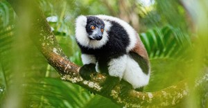 Image source: Alexander Dummer from