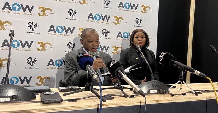 #AOW2024: Mantashe shifts focus to Black participation in gas sector