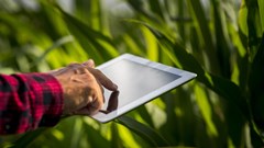 Technology and sustainable farming can contain the cost-price squeeze