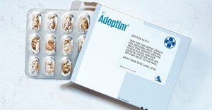 Boundless and NSPCA unveil Adoptim campaign for World Mental Health Day