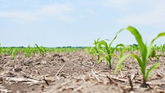 Source: standret via