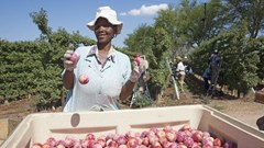 Image source: Peter Titmuss –