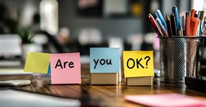 South Africa&#x2019;s first scientifically validated Workplace Well-being Index