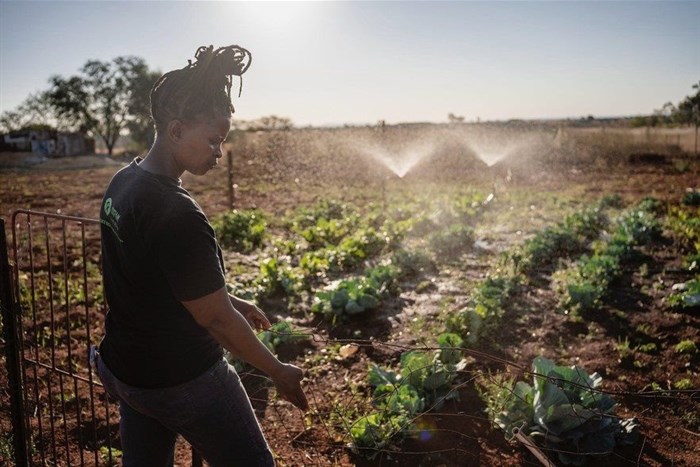 Mamosweu Tsoabi runs a women-led organisation in Waterdal growing vegetables. She’s concerned that coal mining will drain and pollute the already scarce water reserves in the area.