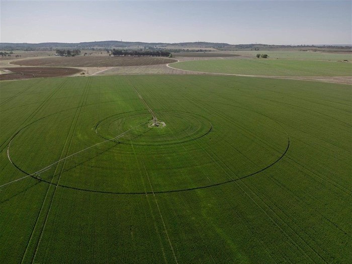 The proposed coal mine will occupy these farmlands in the Vaal region.