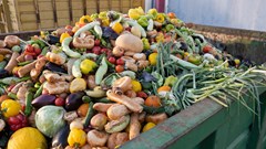 Africa&#x2019;s battle against food waste: How interventions can save 30% of produce
