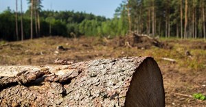Sappi, Agricolleges International partner for forestry education