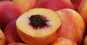 Growers optimistic about 2024/2025 stone fruit exports