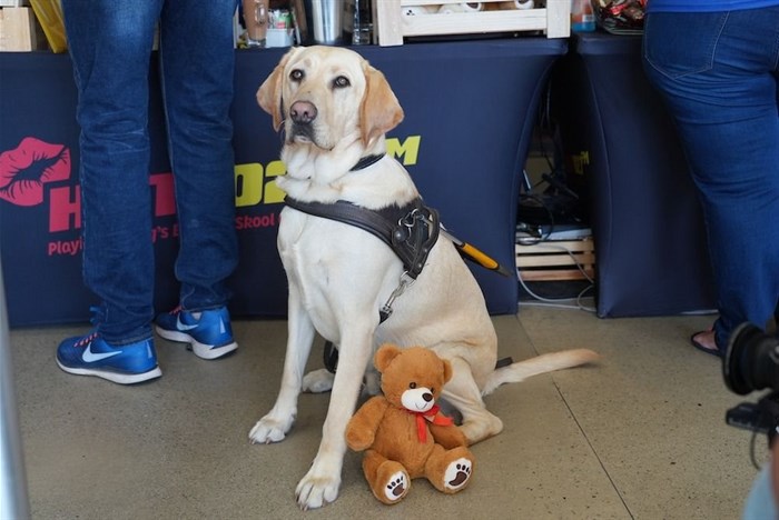 Hot 102.7FM raises R27.5m for charity at annual Teddython fundraiser