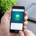 Source: © 123rf  From November all incoming service conversations for businesses using WhatsApp Business are free
