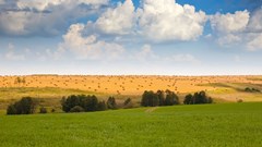 Source: bearfotos via