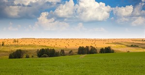 Source: bearfotos via