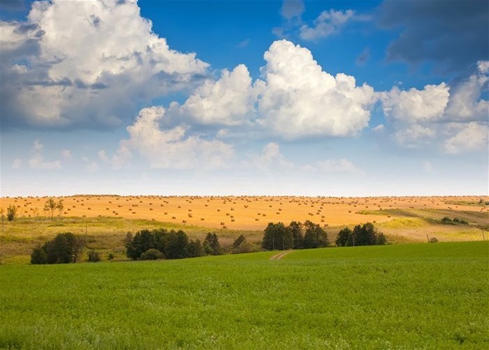 Source: bearfotos via