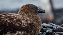 Image source: wirestock from