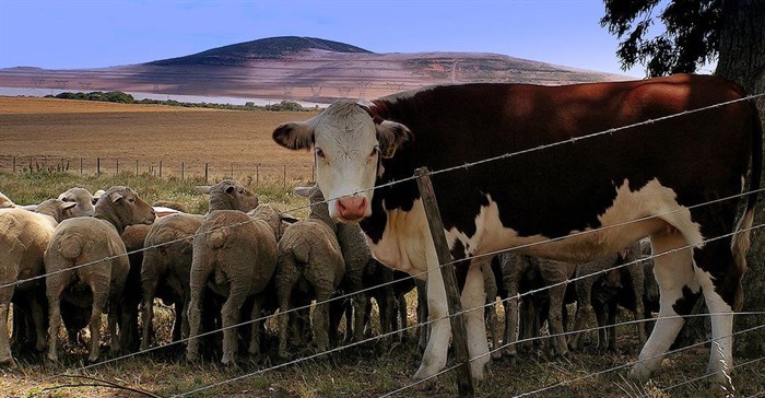 Source: Lollie-Pop via