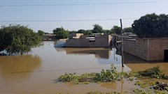 Homes are submerged in water after a massive flood in N'djamena, Chad, 14 October 2022. Reuters/Mahamat Ramadane/File Photo