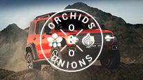 #OrchidsandOnions: GWM appeals to hardcore 4x4 consumers with Chuck Norris-inspired ad