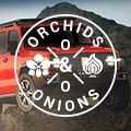 #OrchidsandOnions: GWM appeals to hardcore 4x4 consumers with Chuck Norris-inspired ad