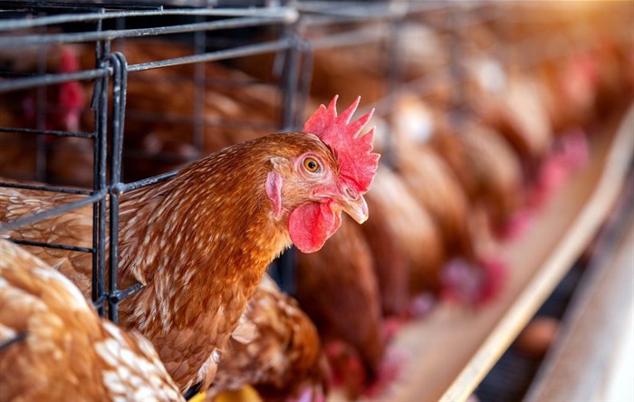 Source: tawatchai07 via