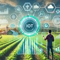 Persistent growth: How IoT solutions could revolutionise agritech