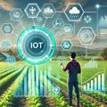 Persistent growth: How IoT solutions could revolutionise agritech
