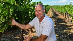 Van Loveren winery acquires Survivor Wines