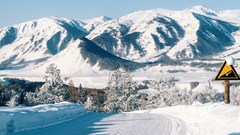 Image source: Lywin from