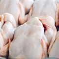 Pivot to profits: Revamping South Africa&#x2019;s poultry sector
