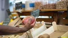 Source: Paul Makube is the senior agricultural economist at FNB Commercial.