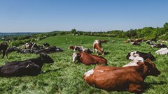 Source: wirestock via