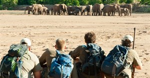 Unlocking the wild this Black November: Career pathways beyond field guiding