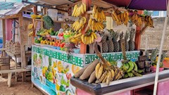 Guide to register spaza shops