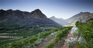 The SAWIPB celebrates a milestone year of growth and innovation