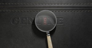 Image source: Allan Swart –