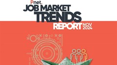 Pnet Job Market Trends Report - November 2024