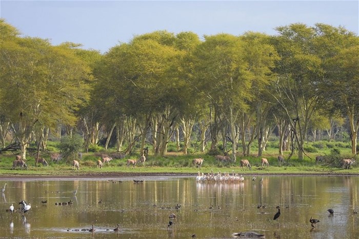 World Wildlife Conservation Day: A conversation with David Havemann, training manager, EcoTraining