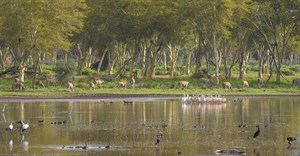 World Wildlife Conservation Day: A conversation with David Havemann, training manager, EcoTraining