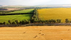 Source: frimufilms via